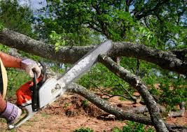Lawn Irrigation Installation and Maintenance in Camanche Village, CA